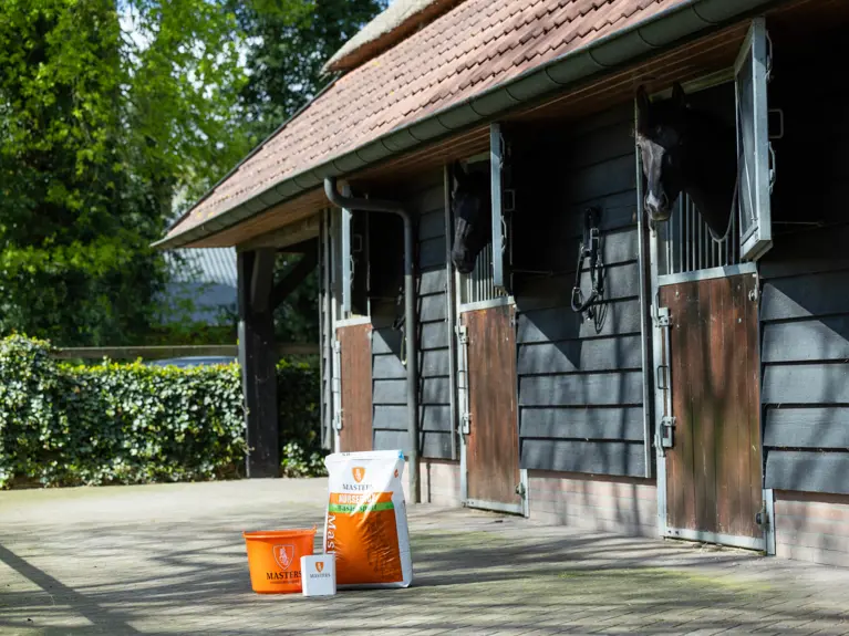 Paardenstal met Masters-emmer, voerzak en voerschep