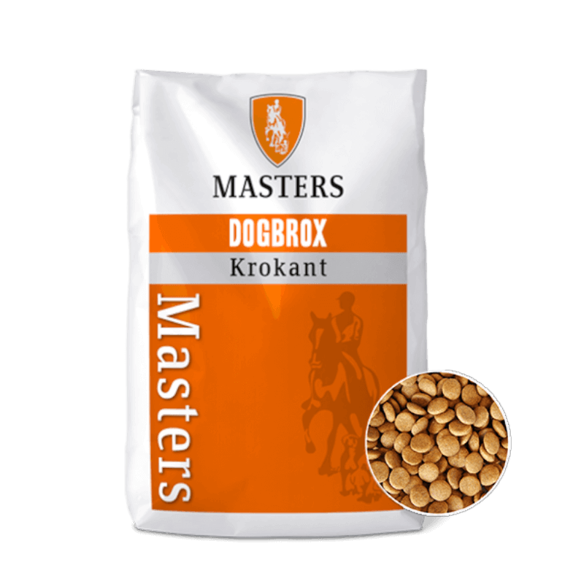 Masters Dogbrox Adult Krokant