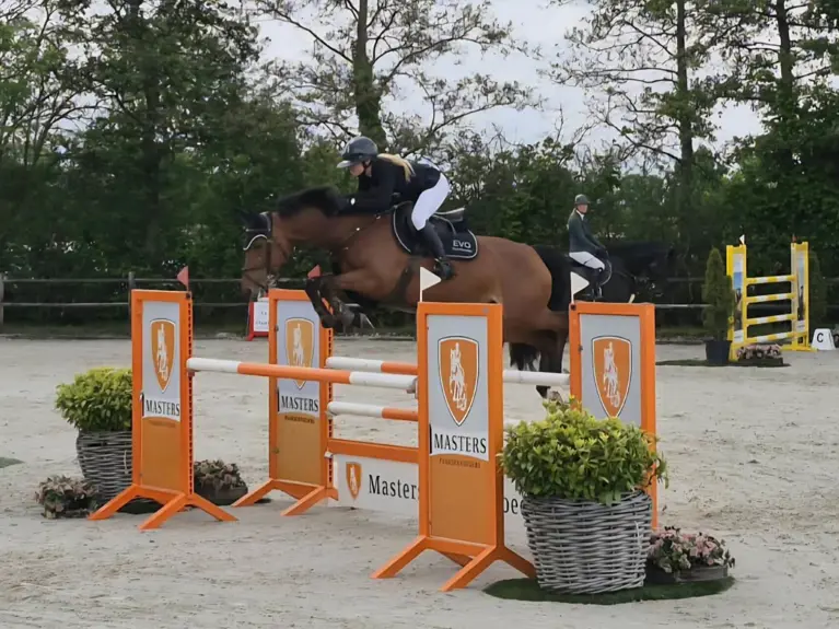 Masters Website Masters Midweek Jumping