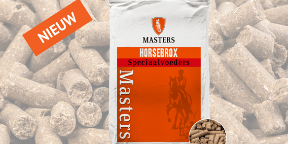 Masters Website Sport Gastrocare