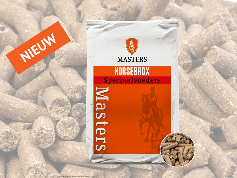 Masters Website Sport Gastrocare