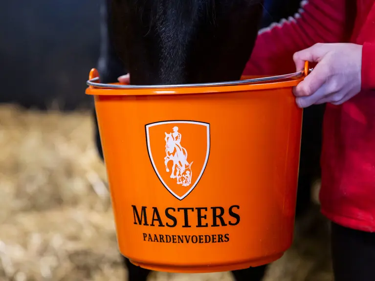 Masters Emmer Met Paard