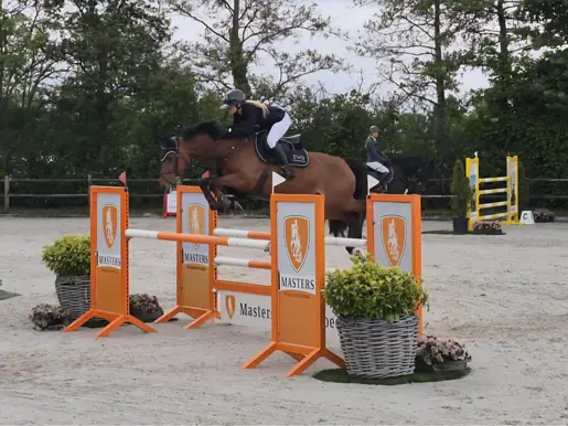 Kennisbijeenkomst Paardenhouderij AR Paard (3)
